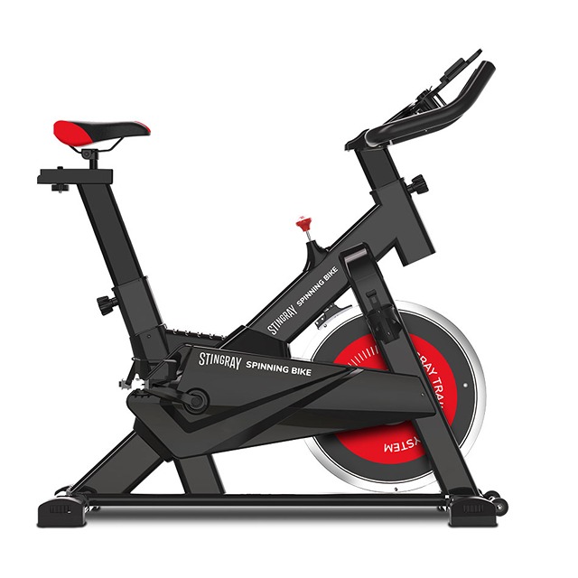 Stingray spinning bike deals